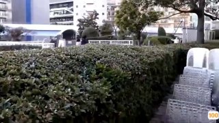 挑衅外卖小哥
